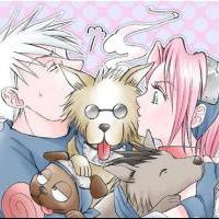 Kakashi and Sakura No Kiss due to nin dogs!
